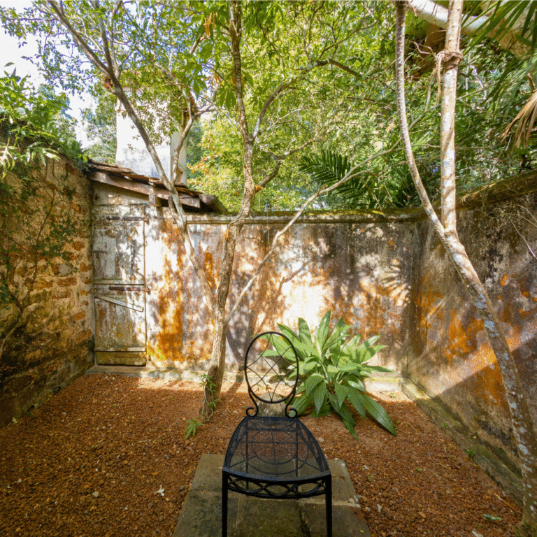 Serene garden landscape with tall trees in Brief Garden