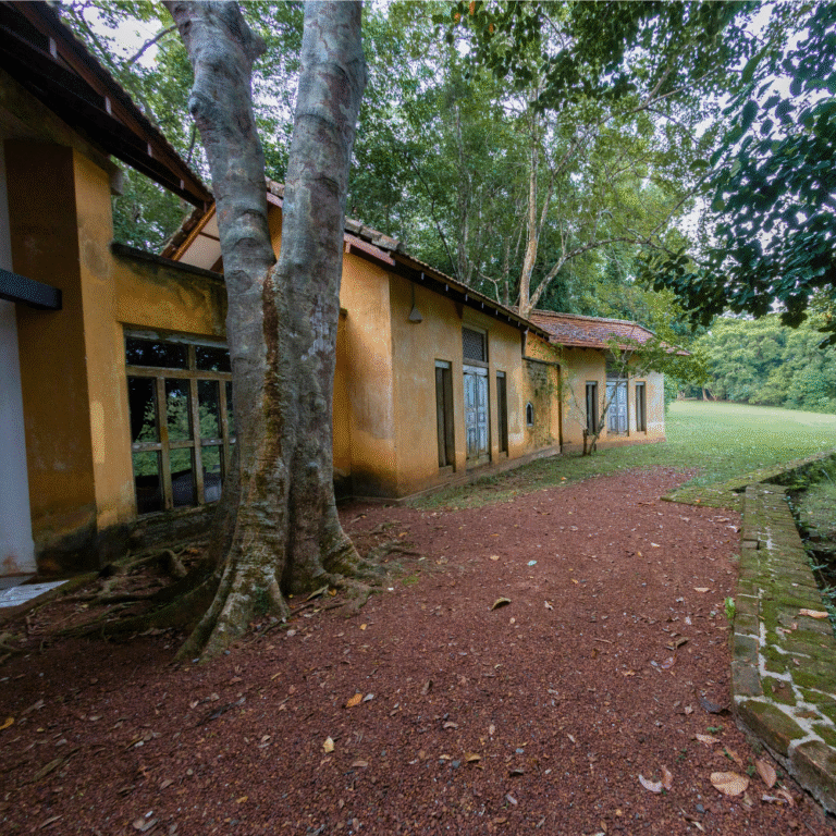 Scenic pathways inside Brief Garden tropical retreat