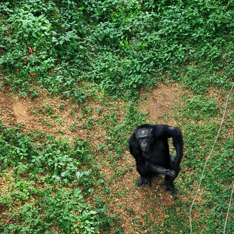Popular family destination Dehiwala Zoo Colombo