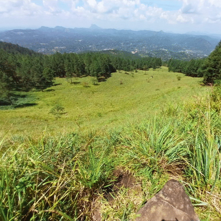 Hanthana hills with breathtaking natural scenery