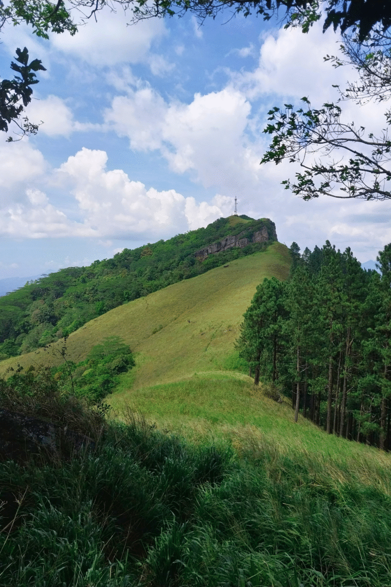 Misty morning view of Hanthana peaks in Sri Lanka