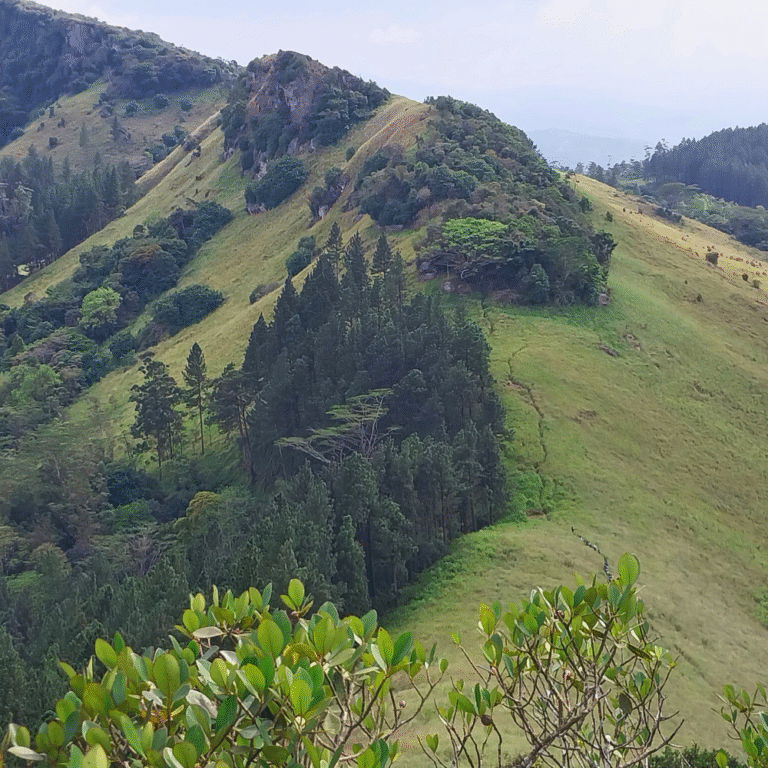 Scenic landscape of Hanthana hills near Kandy