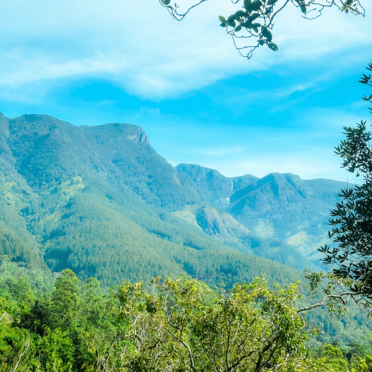 Hiking trail through dense greenery at Hawagala destination