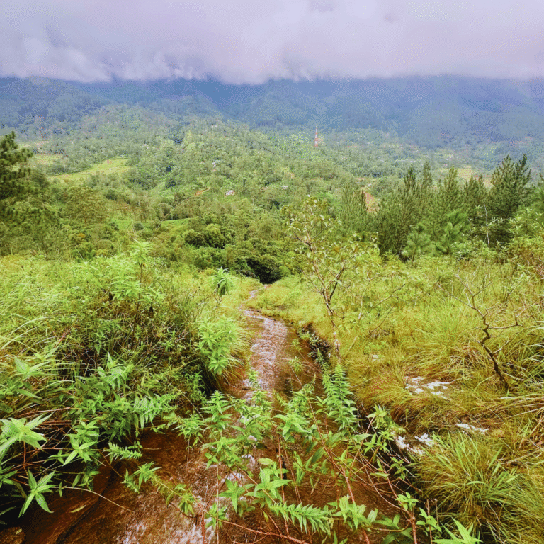 Viewpoint overlooking Hawagala valley and mountains