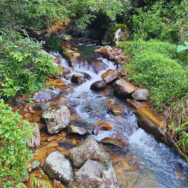 Scenic waterfalls at Hawagala surrounded by tropical forest