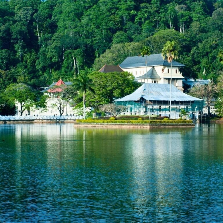 Scenic view of Kandy Lake surrounded by lush greenery