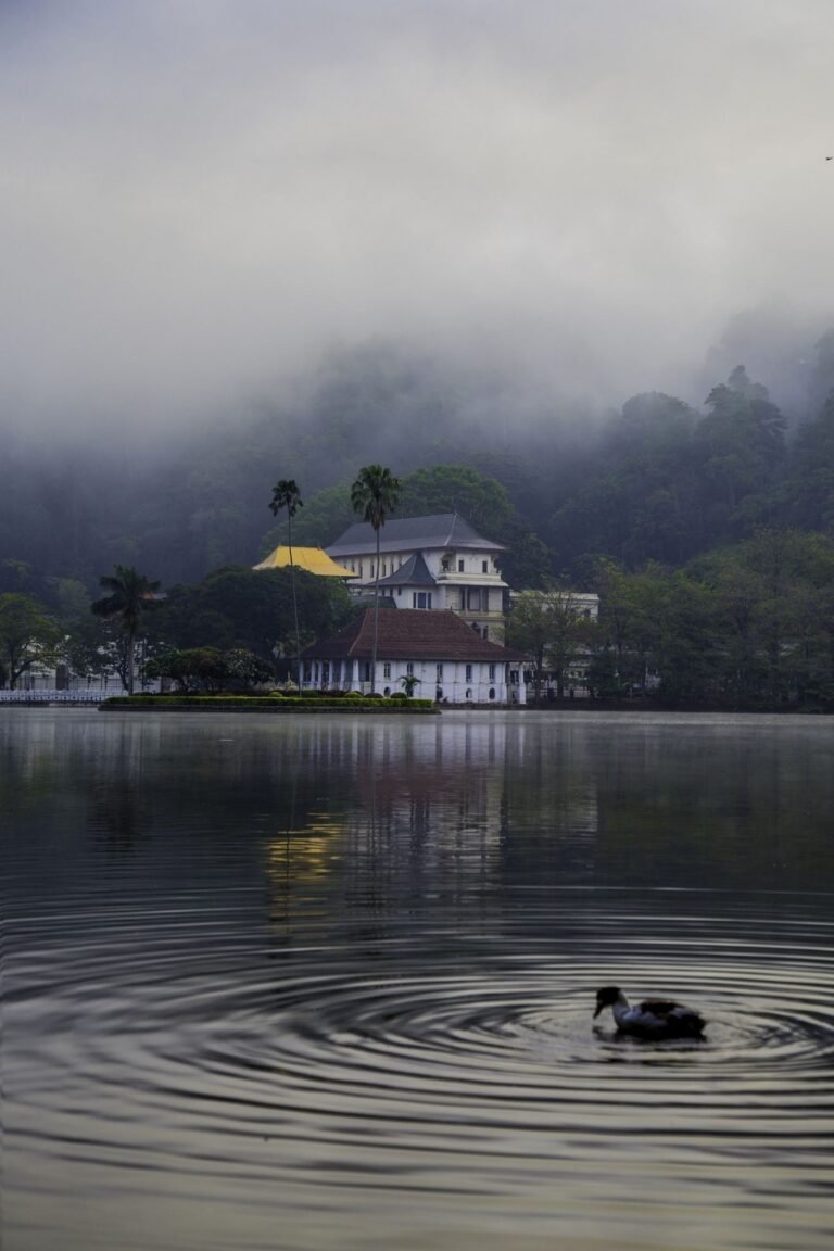 Calm waters of Kandy Lake reflecting the evening sky