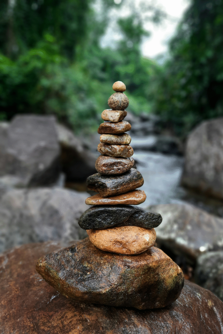 Kithulgala Forest Reserve lush green rainforest in Sri Lanka