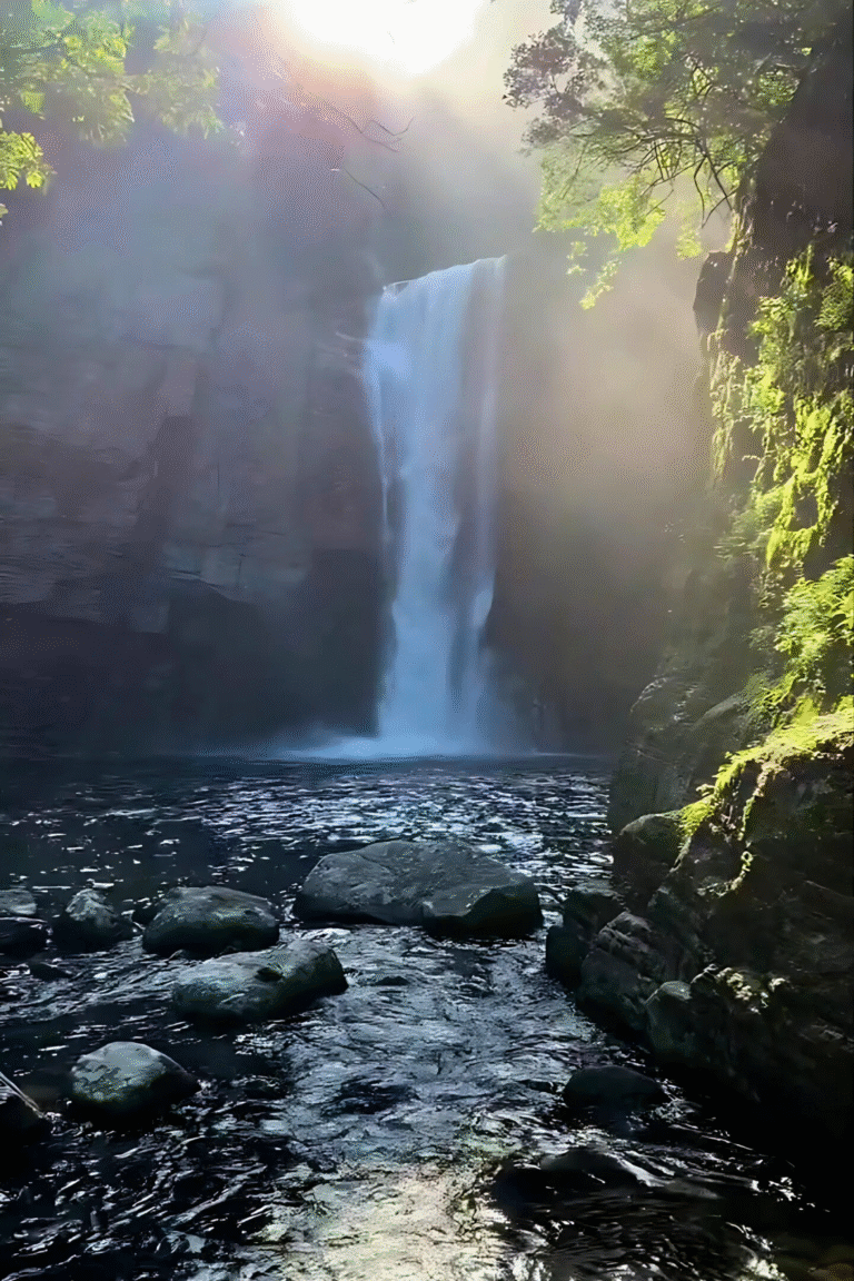 Scenic view of Knuckles mountains covered with mist