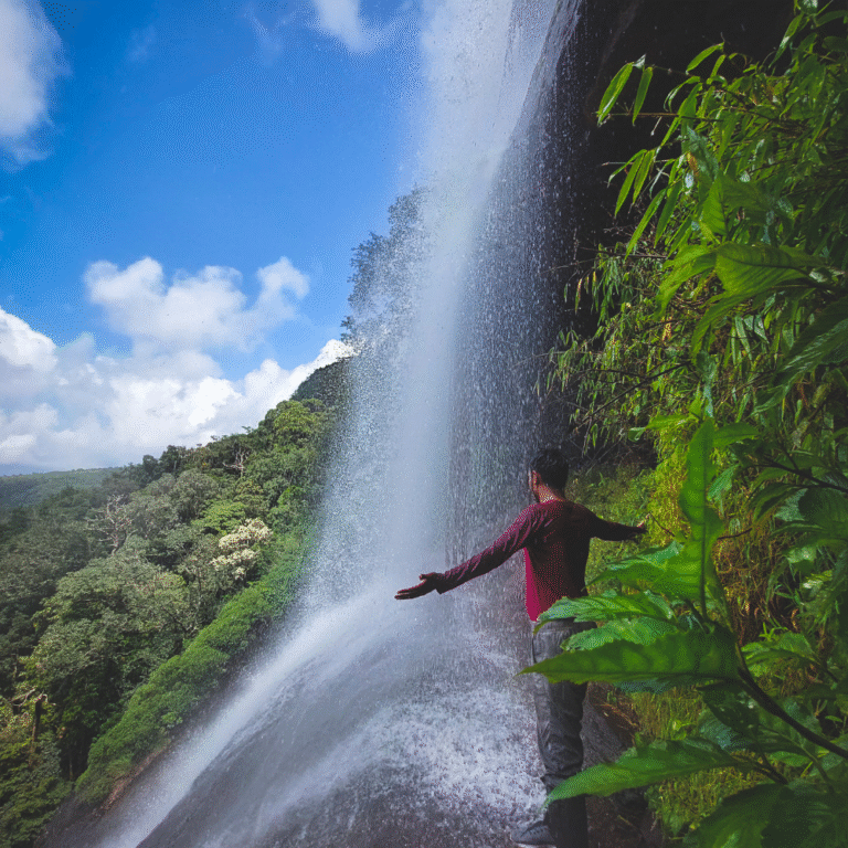 Lush green forests in Knuckles Mountain Range Sri Lanka
