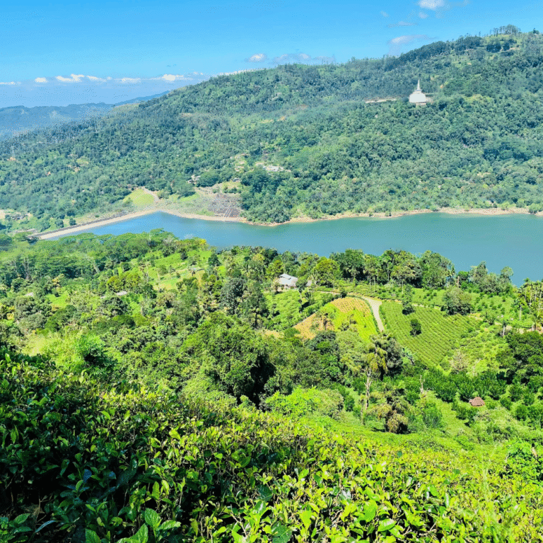 Cultural heritage site Kotmale Mahaweli Maha Seya near Mahaweli project