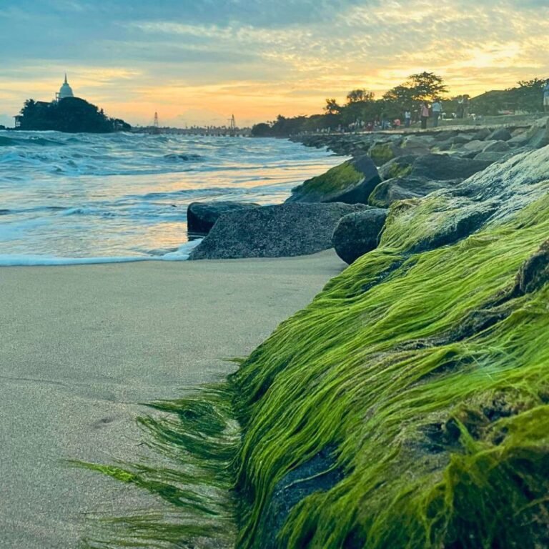 Paravi Dupatha tourist attraction in Matara with ocean scenery