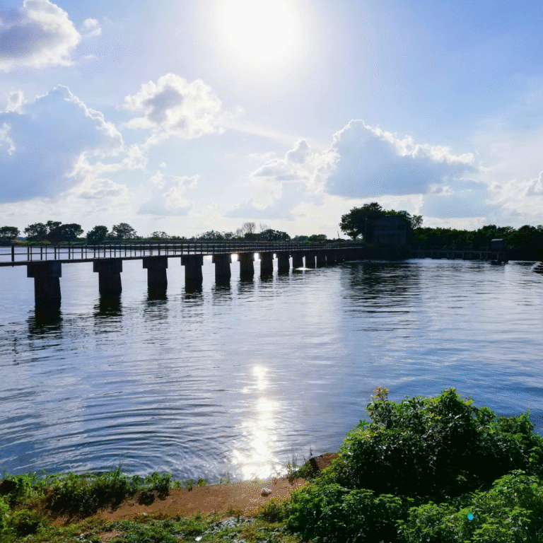 Beautiful landscape surrounding Nachchaduwa Wewa Anuradhapura