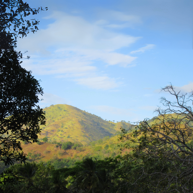Sankapala Raja Maha Viharaya Buddhist temple in Sri Lanka
