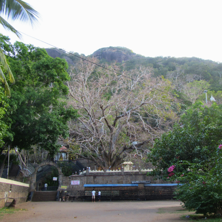 View of Sankapala Raja Maha Viharaya with stone steps