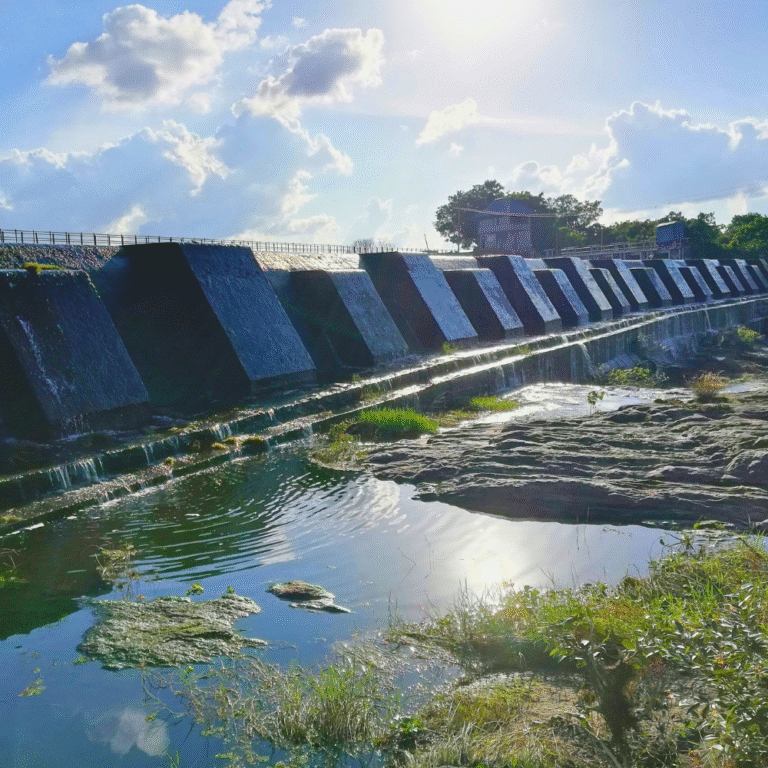 Scenic view of Nachchaduwa Wewa in Anuradhapura Sri Lanka
