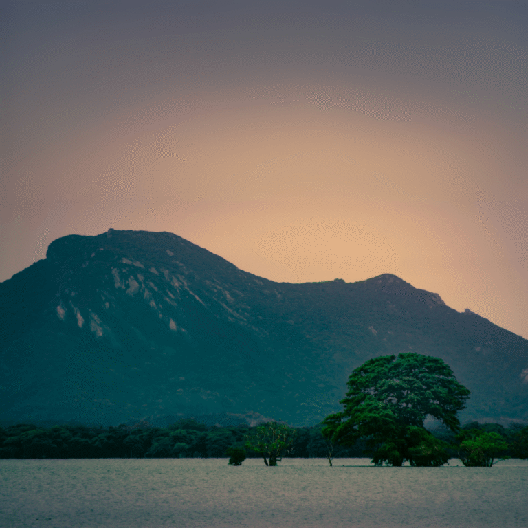 panoramic view of Kala Wewa lake in Sri Lanka