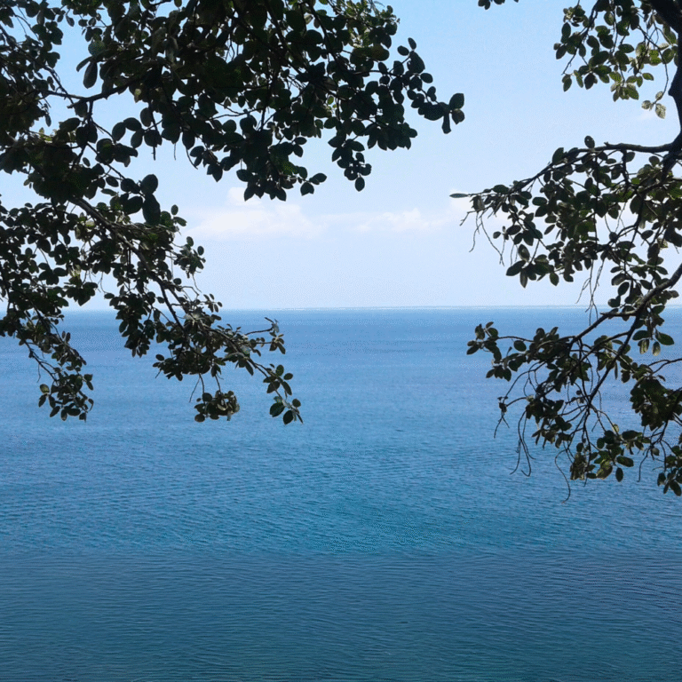 Sri Thirukoneswaram Kovil in Trincomalee Sri Lanka