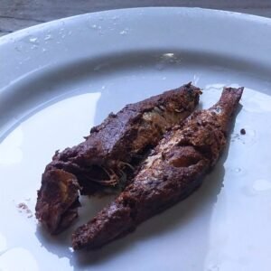 Fish ambulthiyal roti served as a traditional Sri Lankan meal