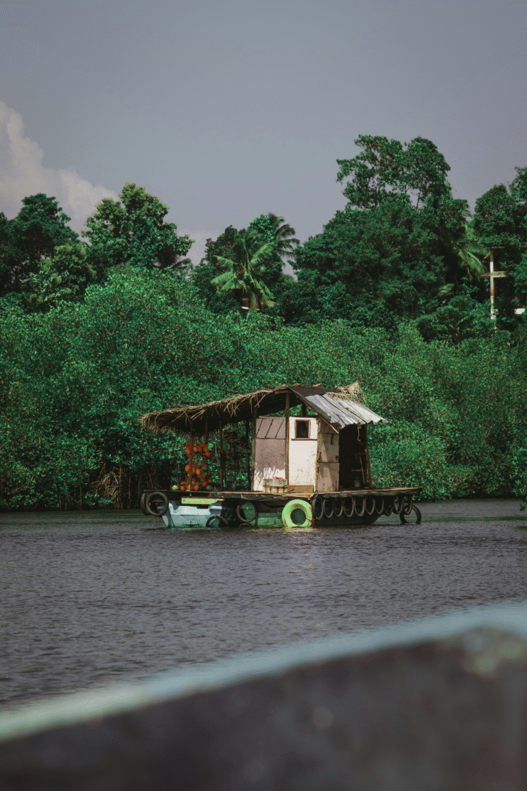 local boat navigating through Bentota mangroves