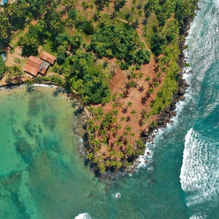 aerial view of coconut tree hills in Sri Lanka