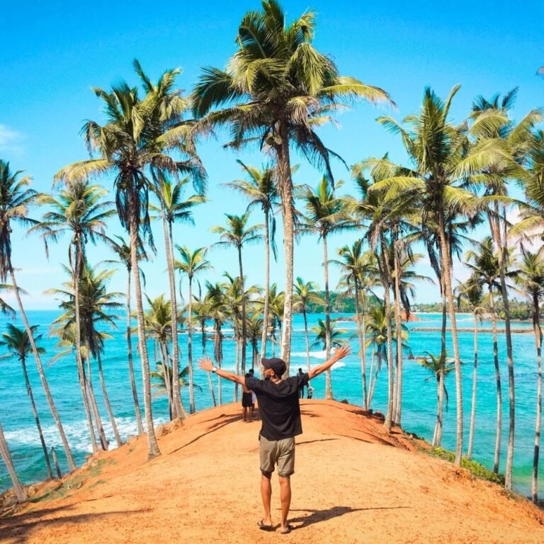 tourists enjoying scenic coconut tree hills landscape