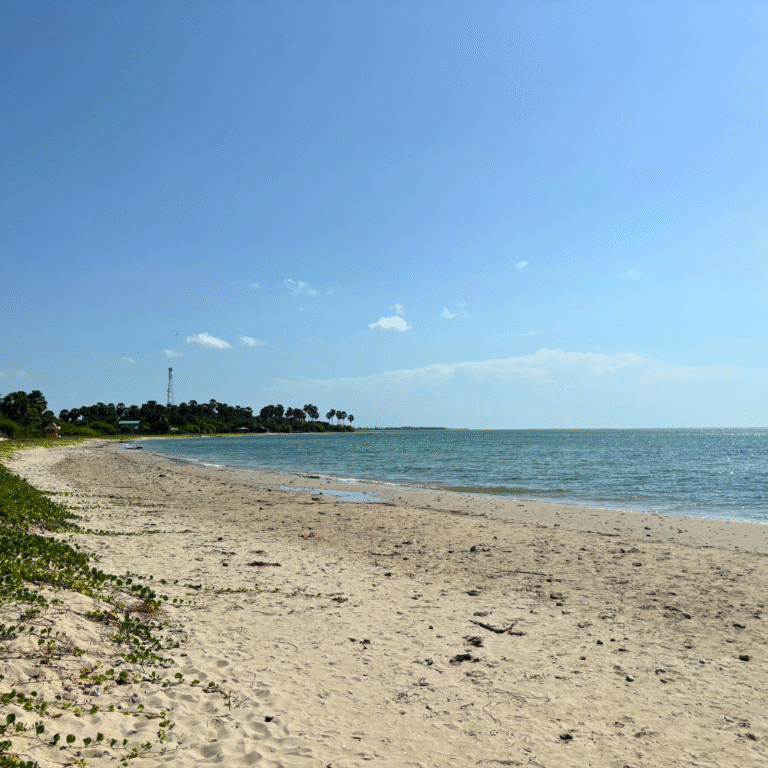 Peaceful environment around Dambakola Patuna Temple