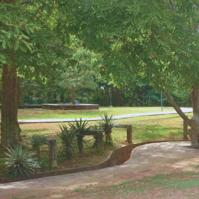 lush tropical plants and trees in Deepa Uyana forest