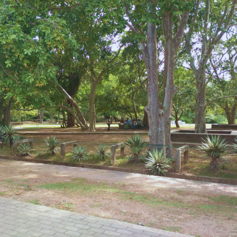 panoramic view of Deepa Uyana lake with surrounding greenery