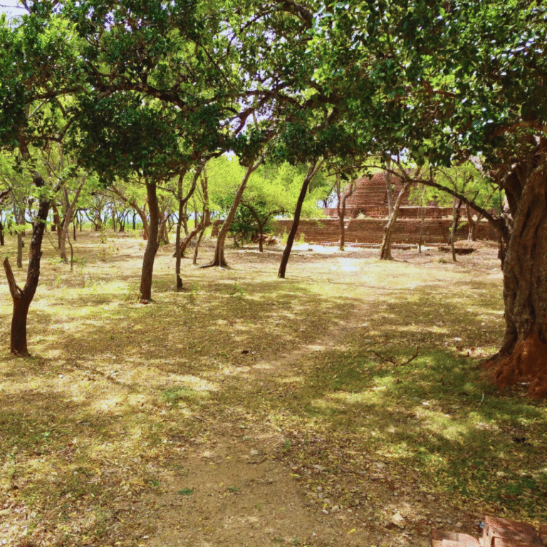 ancient Buddhist pagoda surrounded by lush greenery