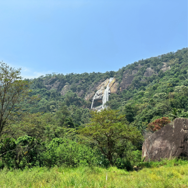 Stunning view of Diyavini Ella Falls surrounded by greenery
