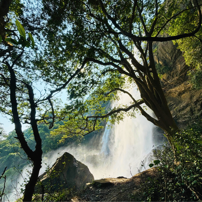 Diyavini Ella waterfall cascading through lush forest