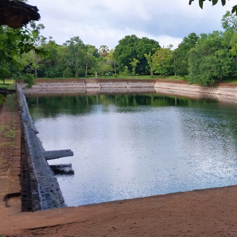 scenic landscape of elephant pond in Sri Lankan countryside