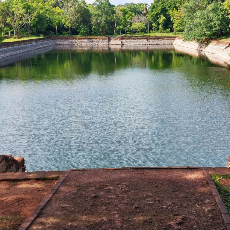 early morning view of elephant pond with mist and trees