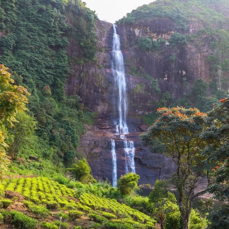 Scenic view of Gartmore Waterfall surrounded by tropical forest