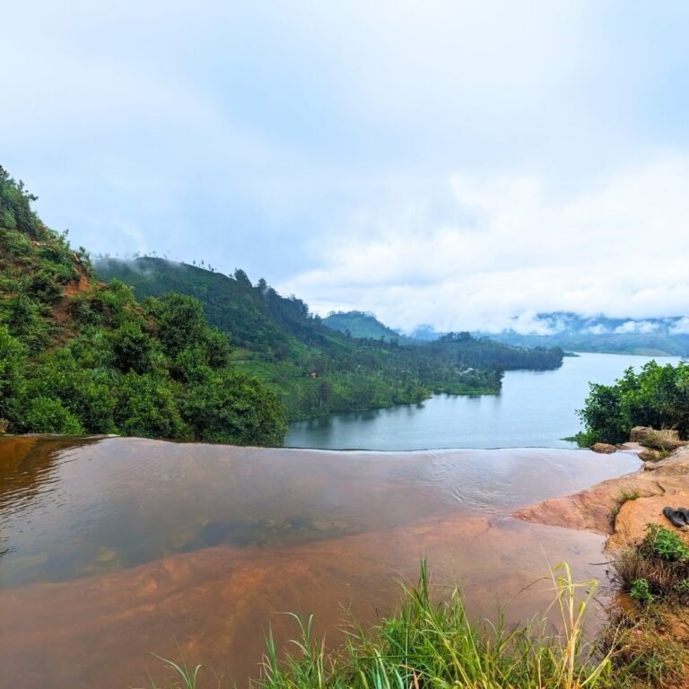 Crystal clear water flowing down Gartmore Falls in a serene setting