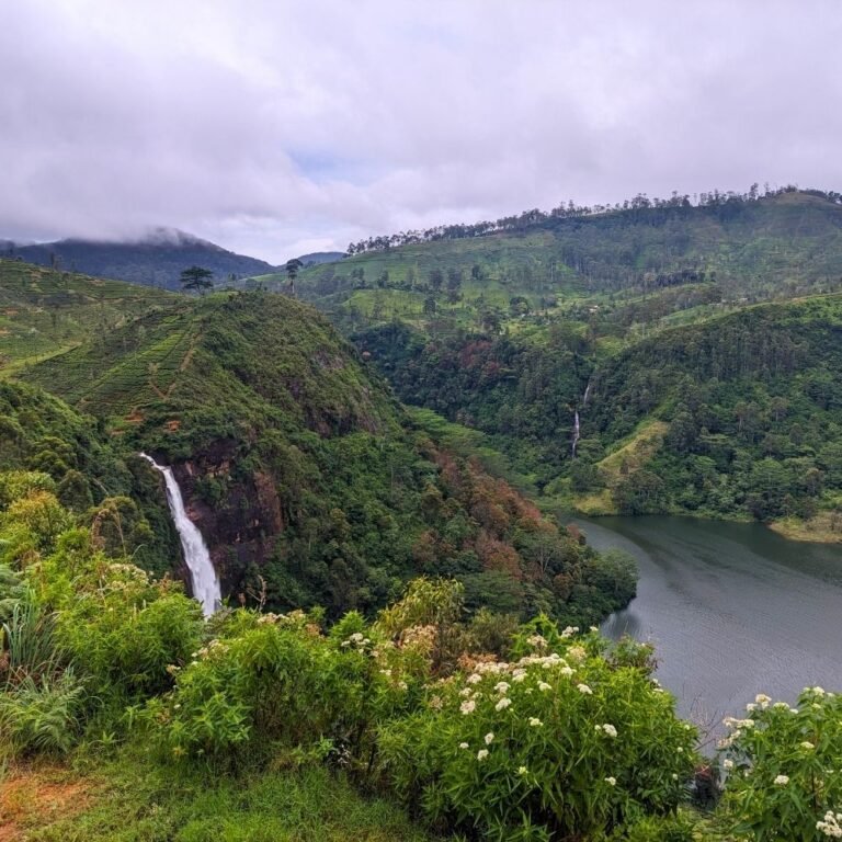 Gartmore Falls waterfall streams in a natural forest environment