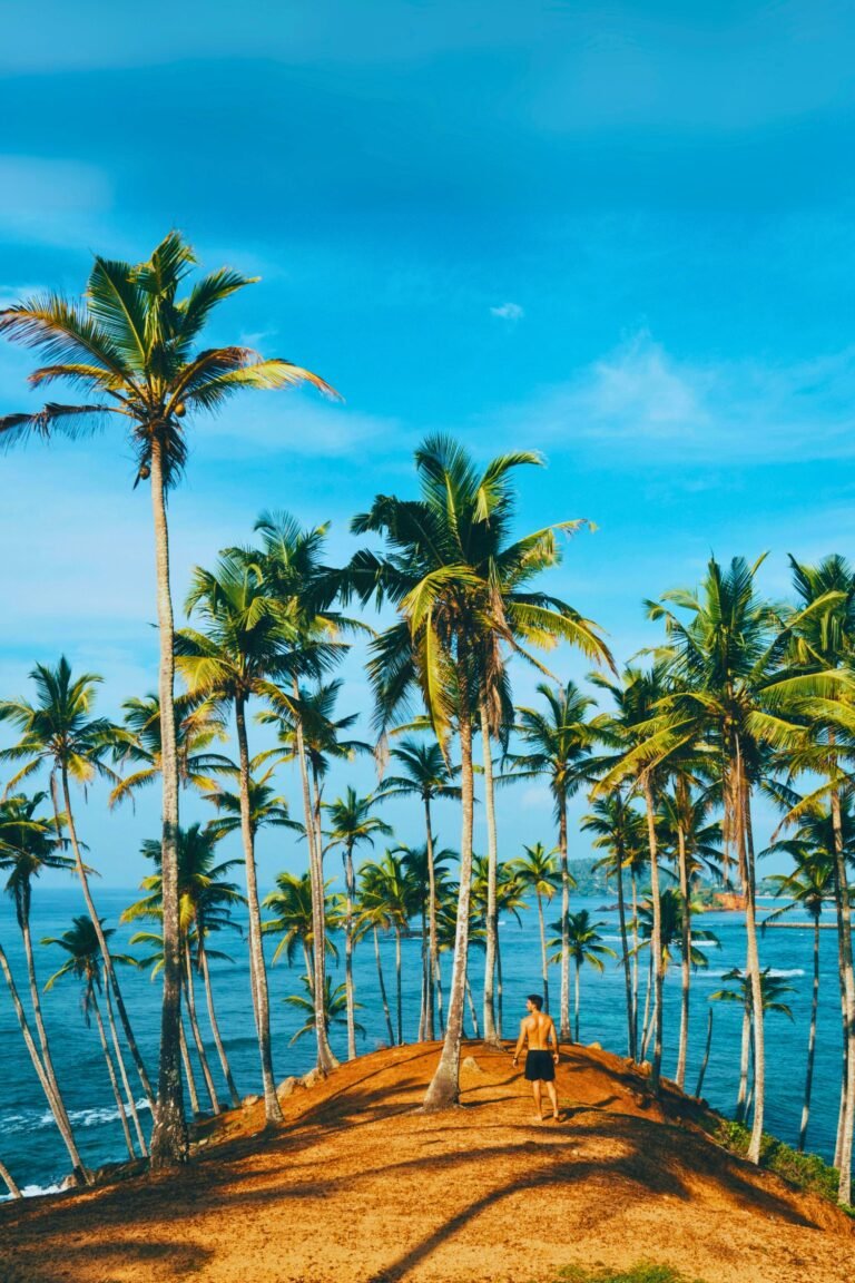 panoramic view of coconut tree hills in Sri Lanka