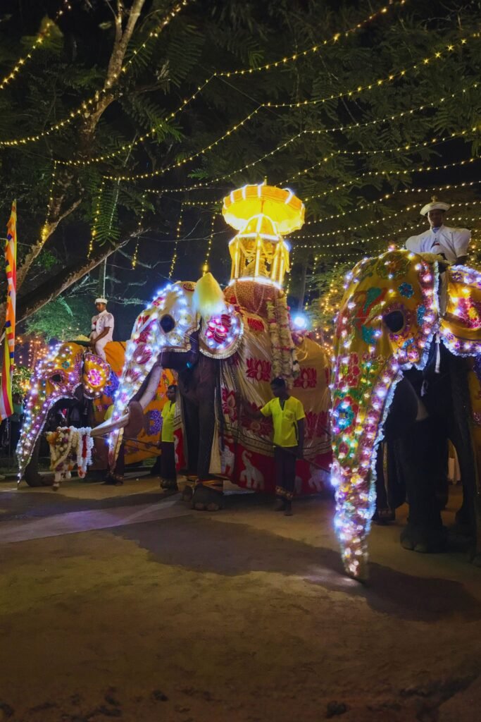 Decorated elephants marching in Saman Dewalaya Perahera parade