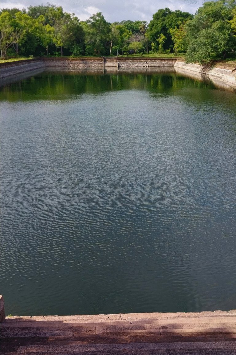 calm elephant pond reflecting blue sky and green trees