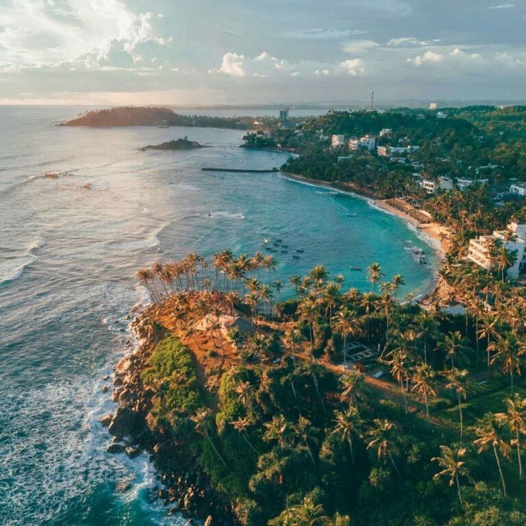 lush green coconut hills with tropical scenery