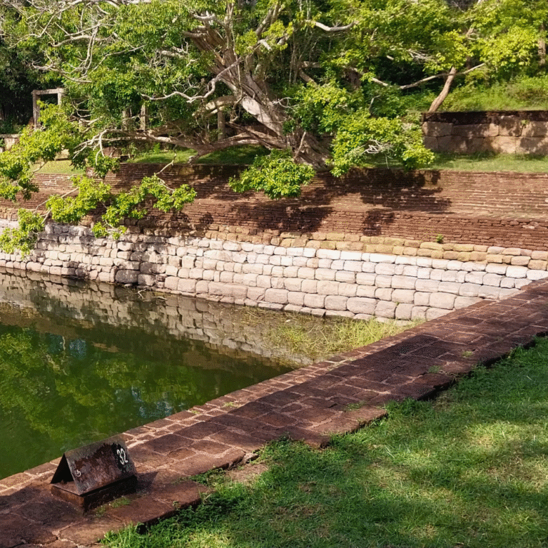 peaceful elephant pond with clear water and lush landscape
