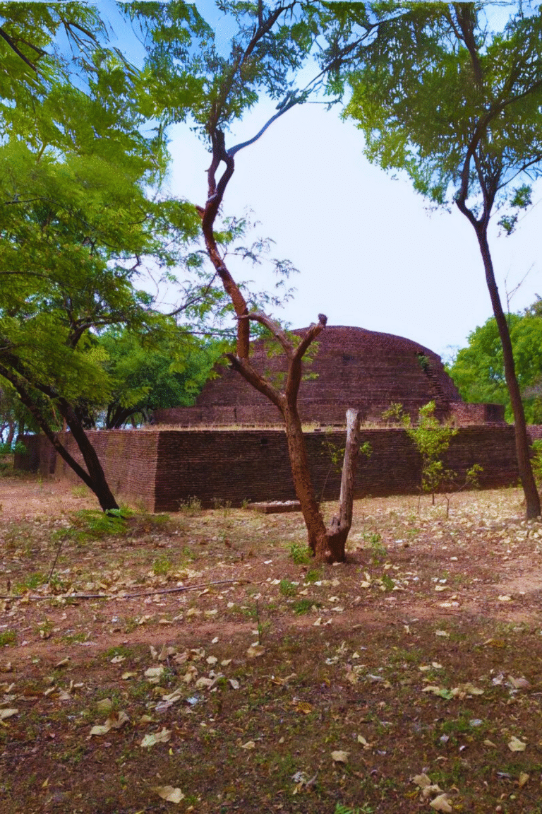 panoramic view of Demela Mahaseya Pagoda in Sri Lanka