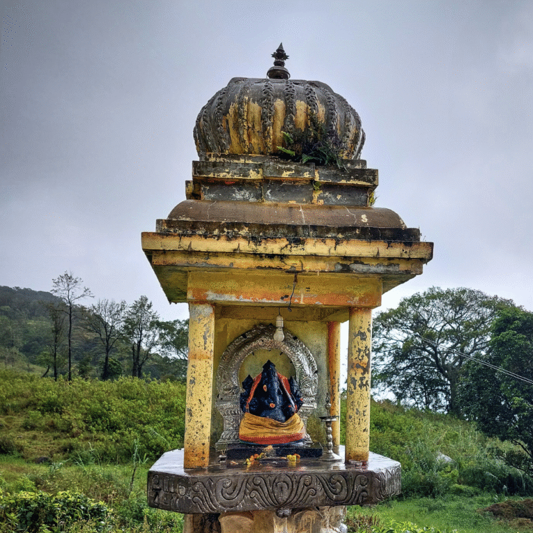 Scenic view of Loolkandura Tea Estate Sri Lanka