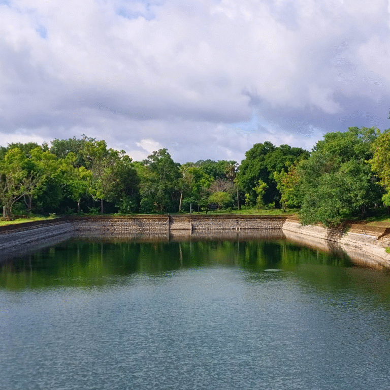 panoramic view of elephant pond surrounded by greenery in Sri Lanka