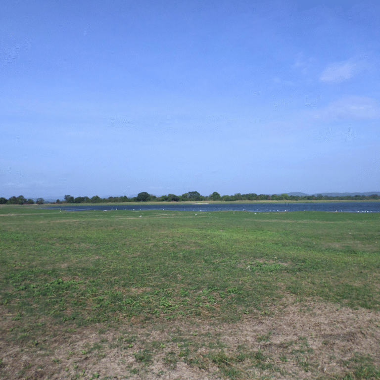 Scenic view of Parakrama Samudraya ancient reservoir