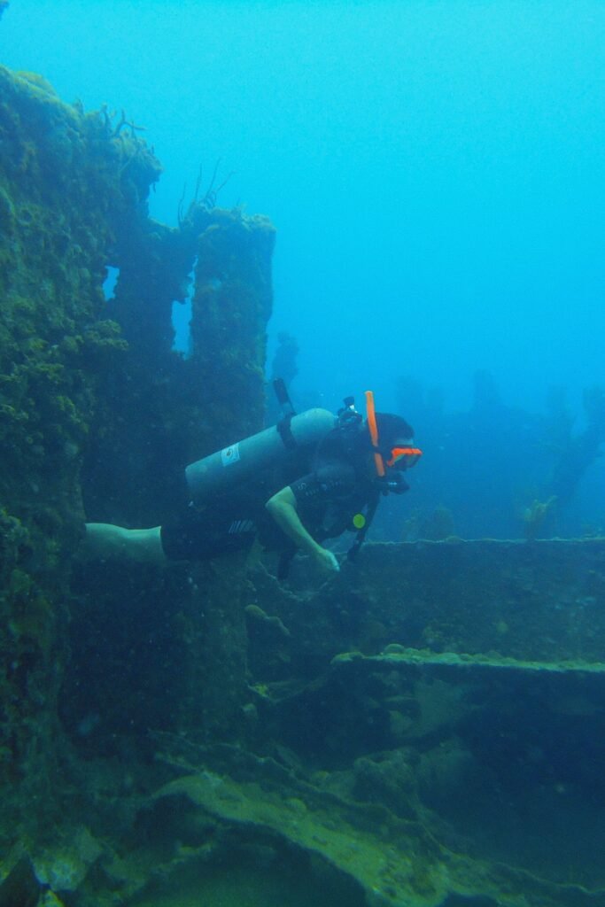 Marine life surrounding a historic sunken ship off the Sri Lankan coast