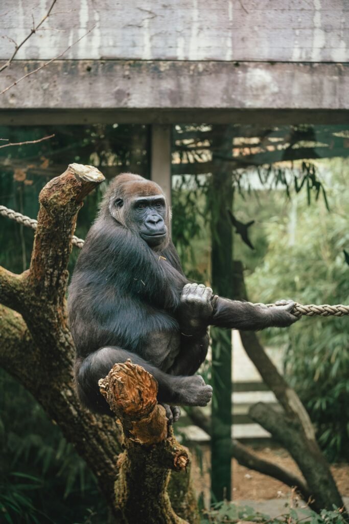 Family enjoying a zoo visit in Sri Lanka