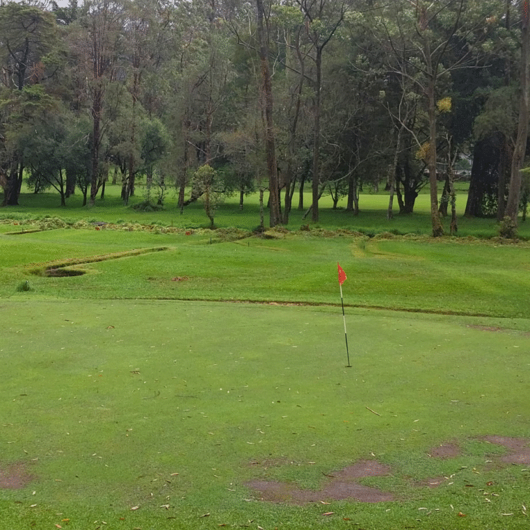 Scenic view of Nuwara Eliya Golf Club green field