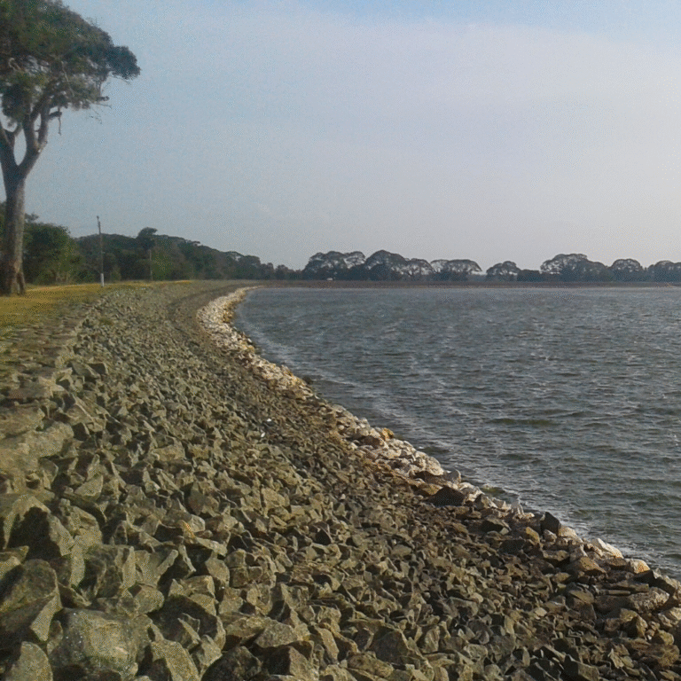 Parakrama Samudraya lake surrounded by greenery